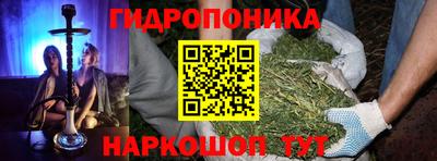ПСИЛОЦИБИНОВЫЕ ГРИБЫ Кулебаки