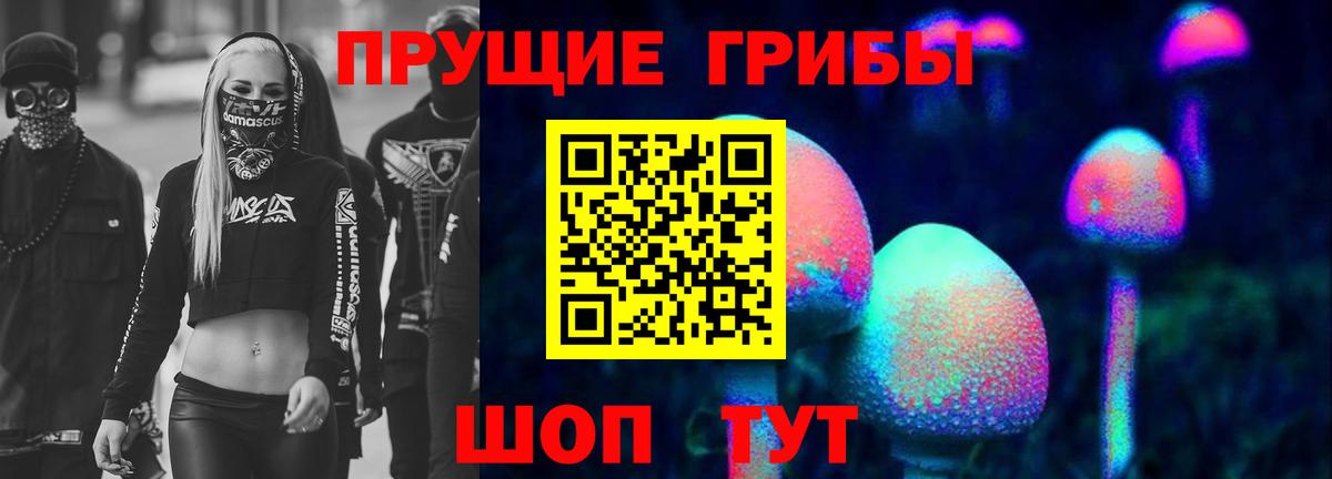 Жуковский  Галлюциногенные грибы мицелий  Вход с VPN 
